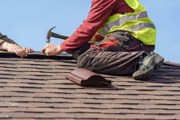 Best Metal Roofing Contractor  in Denver, IA