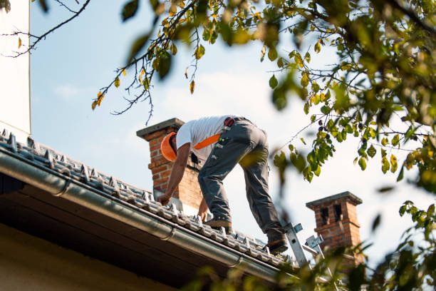 Best Residential Roofing Contractor  in Denver, IA