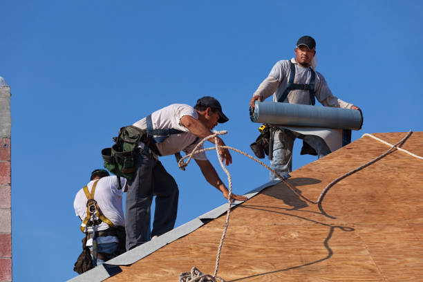 Best Local Roofing Companies  in Denver, IA