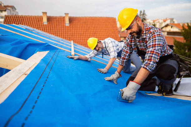 Best Roof Gutter Cleaning  in Denver, IA